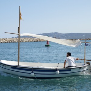 Pascual 500
